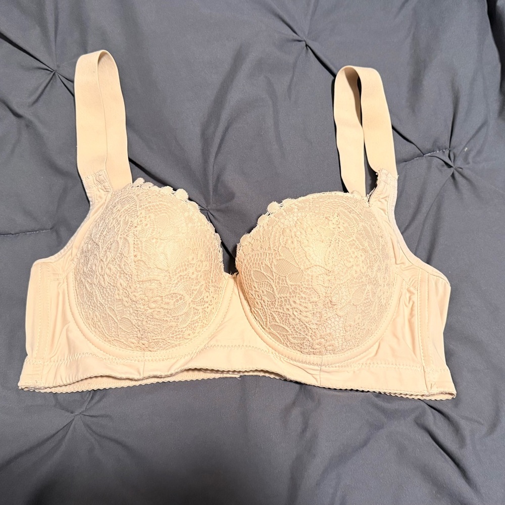 Elegant Lace Beige Bra